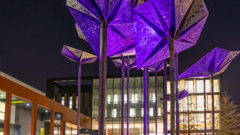 Night time shot of the Rain Pavillion on the Piazza